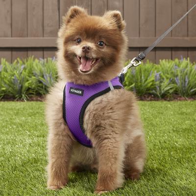Show full view: Best Pet Supplies Voyager Black Trim Mesh Dog Harness, Purple, Large slide 7 of 12