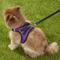 Show in main carousel: Best Pet Supplies Voyager Black Trim Mesh Dog Harness, Purple, Large slide 8 of 12