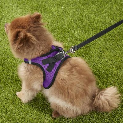 Show full view: Best Pet Supplies Voyager Black Trim Mesh Dog Harness, Purple, Large slide 8 of 12