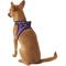 Show in main carousel: Best Pet Supplies Voyager Black Trim Mesh Dog Harness, Purple, Small slide 6 of 12
