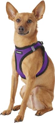 Show full view: Best Pet Supplies Voyager Black Trim Mesh Dog Harness, Purple, Small slide 5 of 12