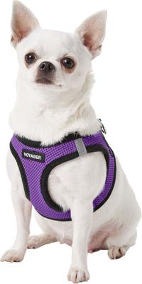 Show full view: Best Pet Supplies Voyager Black Trim Mesh Dog Harness, Purple, X-Small slide 5 of 12