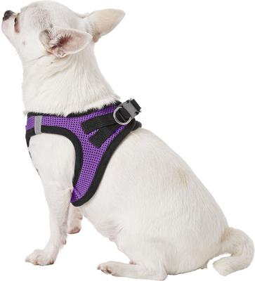 Show full view: Best Pet Supplies Voyager Black Trim Mesh Dog Harness, Purple, X-Small slide 6 of 12