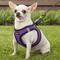 Show in main carousel: Best Pet Supplies Voyager Black Trim Mesh Dog Harness, Purple, X-Small slide 7 of 12