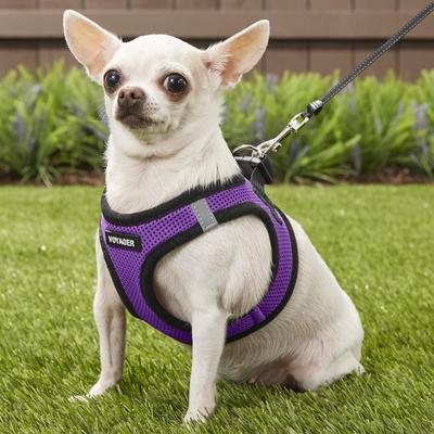 Show full view: Best Pet Supplies Voyager Black Trim Mesh Dog Harness, Purple, X-Small slide 7 of 12