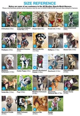 Show full view: Best Pet Supplies Voyager Black Trim Mesh Dog Harness, Purple, X-Small slide 9 of 12