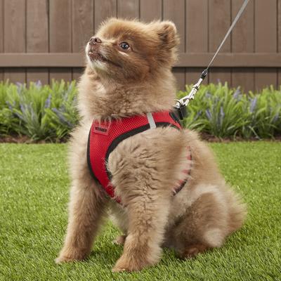 Show full view: Best Pet Supplies Voyager Black Trim Mesh Dog Harness, Red, Large slide 7 of 12