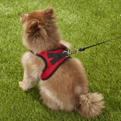 Show full view: Best Pet Supplies Voyager Black Trim Mesh Dog Harness, Red, Large slide 8 of 12