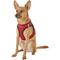 Show in main carousel: Best Pet Supplies Voyager Black Trim Mesh Dog Harness, Red, Medium slide 6 of 13