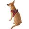 Show in main carousel: Best Pet Supplies Voyager Black Trim Mesh Dog Harness, Red, Medium slide 7 of 13