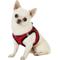 Show in main carousel: Best Pet Supplies Voyager Black Trim Mesh Dog Harness, Red, X-Small slide 5 of 12
