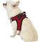 Show in main carousel: Best Pet Supplies Voyager Black Trim Mesh Dog Harness, Red, X-Small slide 6 of 12