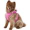 Show in main carousel: Best Pet Supplies Voyager Corduroy Dog Harness, Fuchsia, Large slide 5 of 11