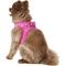 Show in main carousel: Best Pet Supplies Voyager Corduroy Dog Harness, Fuchsia, Large slide 6 of 11
