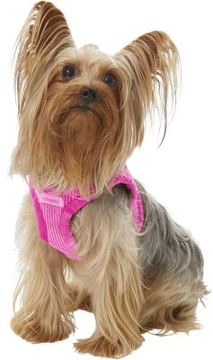 Show full view: Best Pet Supplies Voyager Corduroy Dog Harness, Fuchsia, X-Small slide 5 of 11