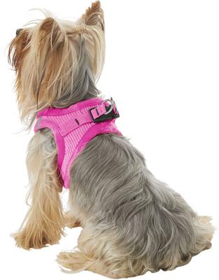 Show full view: Best Pet Supplies Voyager Corduroy Dog Harness, Fuchsia, X-Small slide 6 of 11