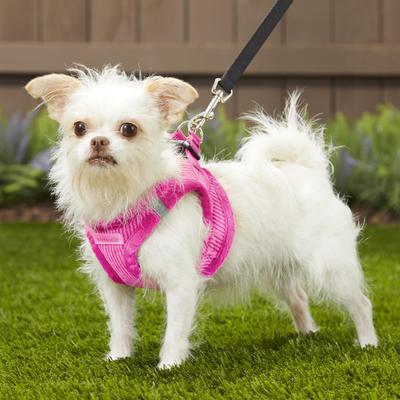 Show full view: Best Pet Supplies Voyager Corduroy Dog Harness, Fuchsia, X-Small slide 7 of 11