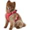 Show in main carousel: Best Pet Supplies Voyager Corduroy Dog Harness, Red, Large slide 5 of 11