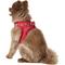 Show in main carousel: Best Pet Supplies Voyager Corduroy Dog Harness, Red, Large slide 6 of 11