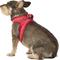Show in main carousel: Best Pet Supplies Voyager Corduroy Dog Harness, Red, Medium slide 6 of 11