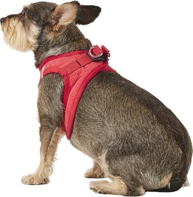 Show full view: Best Pet Supplies Voyager Corduroy Dog Harness, Red, Medium slide 6 of 11