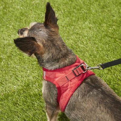 Show full view: Best Pet Supplies Voyager Corduroy Dog Harness, Red, Medium slide 8 of 11