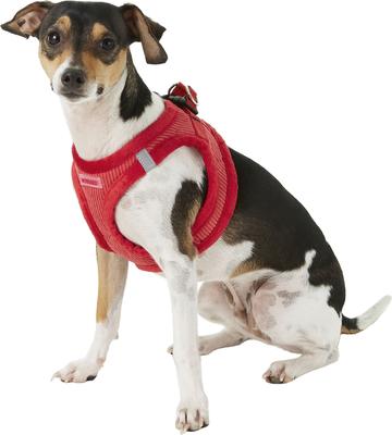 Show full view: Best Pet Supplies Voyager Corduroy Dog Harness, Red, Small slide 5 of 11