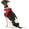Show in main carousel: Best Pet Supplies Voyager Corduroy Dog Harness, Red, Small slide 6 of 11