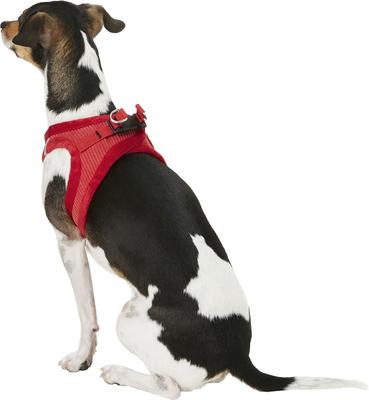 Show full view: Best Pet Supplies Voyager Corduroy Dog Harness, Red, Small slide 6 of 11