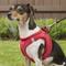 Show in main carousel: Best Pet Supplies Voyager Corduroy Dog Harness, Red, Small slide 7 of 11