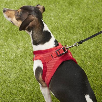 Show full view: Best Pet Supplies Voyager Corduroy Dog Harness, Red, Small slide 8 of 11
