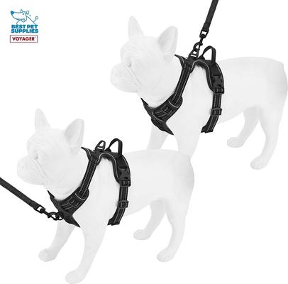 Show full view: Best Pet Supplies Voyager Dual Attachment Outdoor Dog Harness & Leash Bundle, Black, X-Small slide 4 of 7
