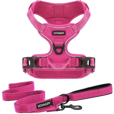 Best Pet Supplies Best Pet Supplies Voyager Dual Attachment Outdoor Dog Harness & Leash Bundle, Fuchsia, Large