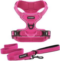 Best Pet Supplies Voyager Dual Attachment Outdoor Dog Harness & Leash Bundle, Fuchsia, Medium