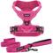 Show in main carousel: Best Pet Supplies Voyager Dual Attachment Outdoor Dog Harness & Leash Bundle, Fuchsia, Medium slide 1 of 7