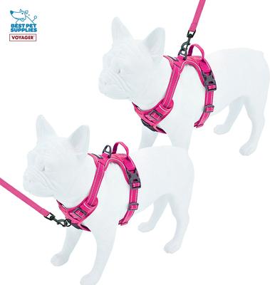 Show full view: Best Pet Supplies Voyager Dual Attachment Outdoor Dog Harness & Leash Bundle, Fuchsia, Medium slide 4 of 7