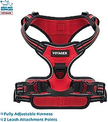 Best Pet Supplies Voyager Dual Attachment Outdoor Dog Harness & Leash Bundle, Red, Small slide 2 of 6