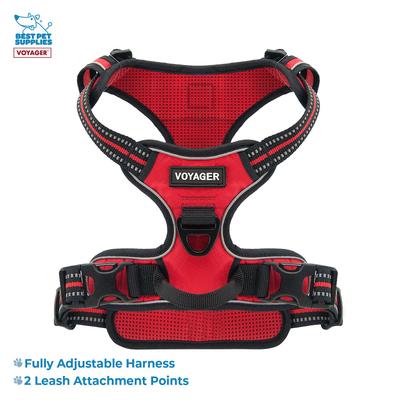 Show full view: Best Pet Supplies Voyager Dual Attachment Outdoor Dog Harness & Leash Bundle, Red, Small slide 3 of 8