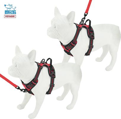 Show full view: Best Pet Supplies Voyager Dual Attachment Outdoor Dog Harness & Leash Bundle, Red, Small slide 5 of 8