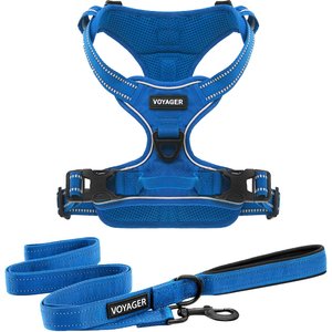 Best Pet Supplies Voyager Dual Attachment Outdoor Dog Harness & Leash Bundle, Royal Blue, X-Small
