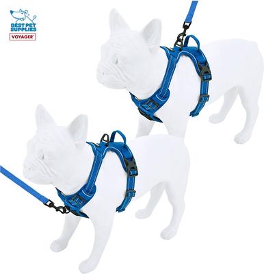 Show full view: Best Pet Supplies Voyager Dual Attachment Outdoor Dog Harness & Leash Bundle, Royal Blue, X-Small slide 4 of 6
