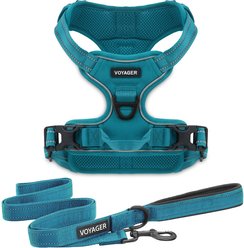 Best Pet Supplies Voyager Dual Attachment Outdoor Dog Harness & Leash Bundle, Turquoise, Medium
