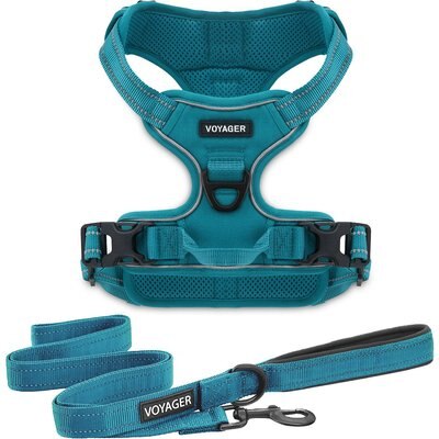 Best Pet Supplies Best Pet Supplies Voyager Dual Attachment Outdoor Dog Harness & Leash Bundle, Turquoise, Medium
