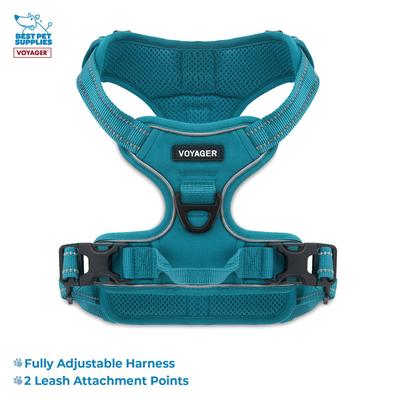 Show full view: Best Pet Supplies Voyager Dual Attachment Outdoor Dog Harness & Leash Bundle, Turquoise, Medium slide 2 of 7