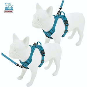 Best Pet Supplies Voyager Dual Attachment Outdoor Dog Harness & Leash Bundle, Turquoise, X-Small