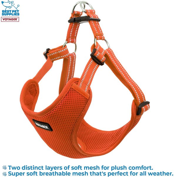 Best Pet Supplies Voyager Fully Adjustable Step-in Mesh Dog Harness