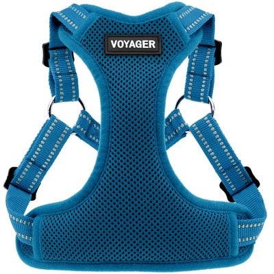 Best Pet Supplies Best Pet Supplies Voyager Fully Adjustable Step-in Mesh Dog Harness, Turquoise, Large