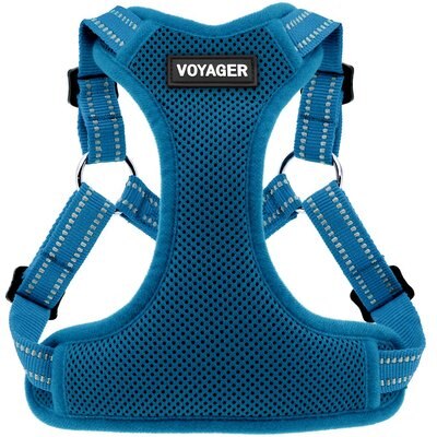 Best Pet Supplies Best Pet Supplies Voyager Fully Adjustable Step-in Mesh Dog Harness, Turquoise, X-Large