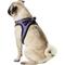 Show in main carousel: Best Pet Supplies Voyager Padded Faux Leather Dog Harness, Purple, Large slide 6 of 11