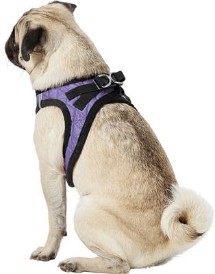 Show full view: Best Pet Supplies Voyager Padded Faux Leather Dog Harness, Purple, Large slide 6 of 11